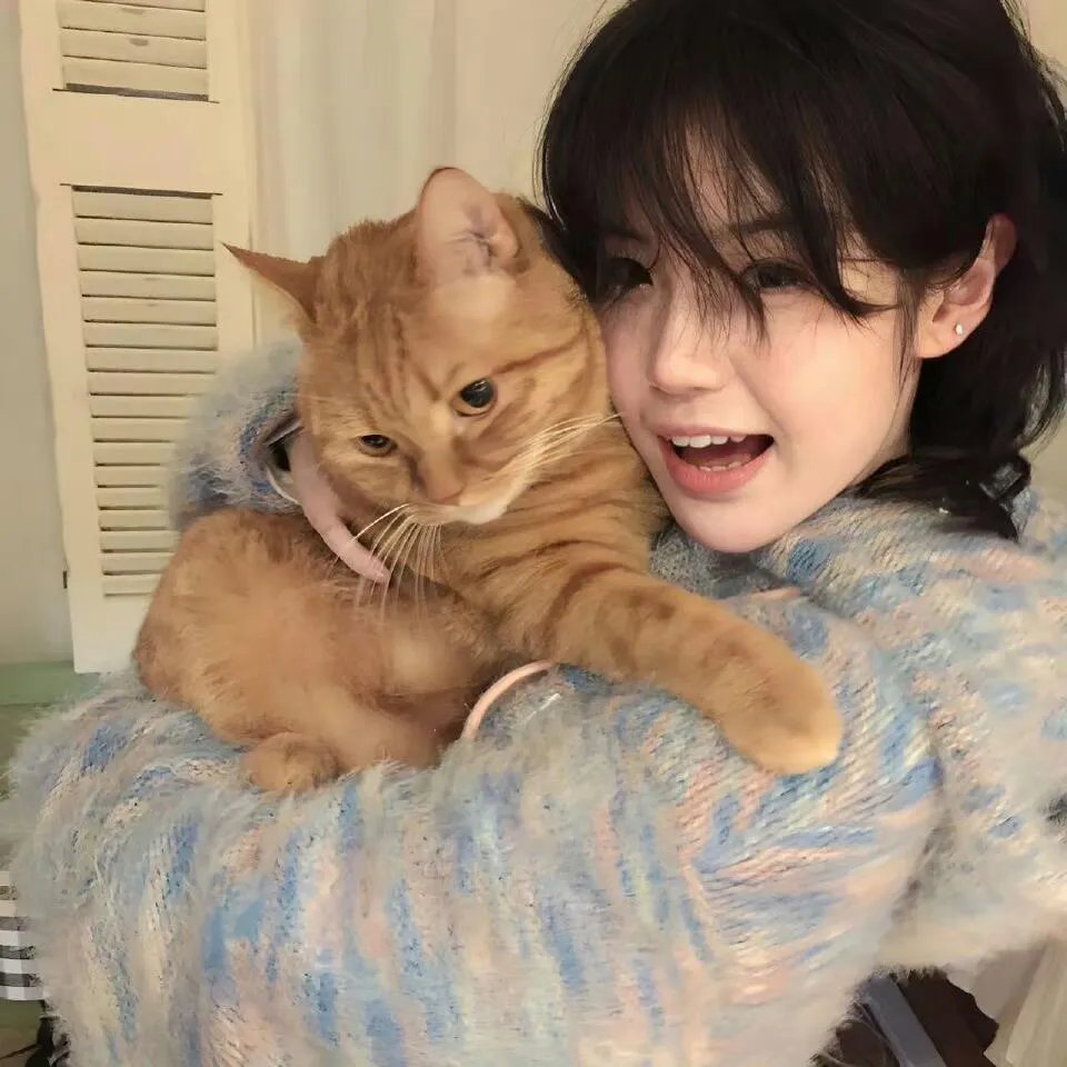 白莲花度假村第三季